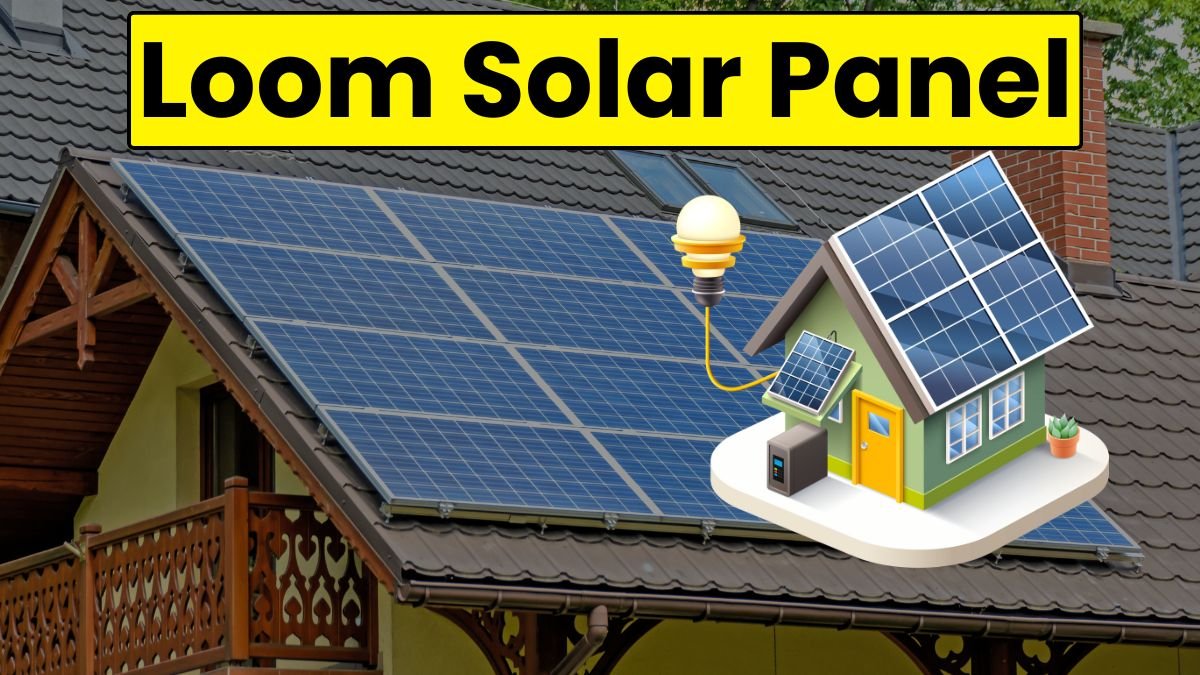 Loom Solar Panel