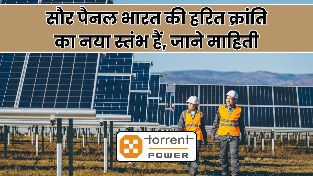 Solar is the new pillar of the green revolution